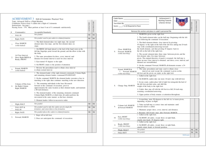 Cap achievement 3 drill test