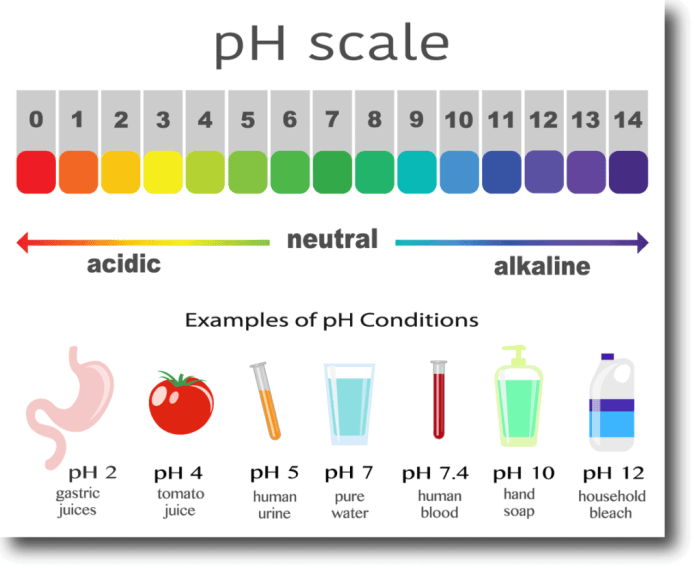 A solution with a ph of 3.6 would be