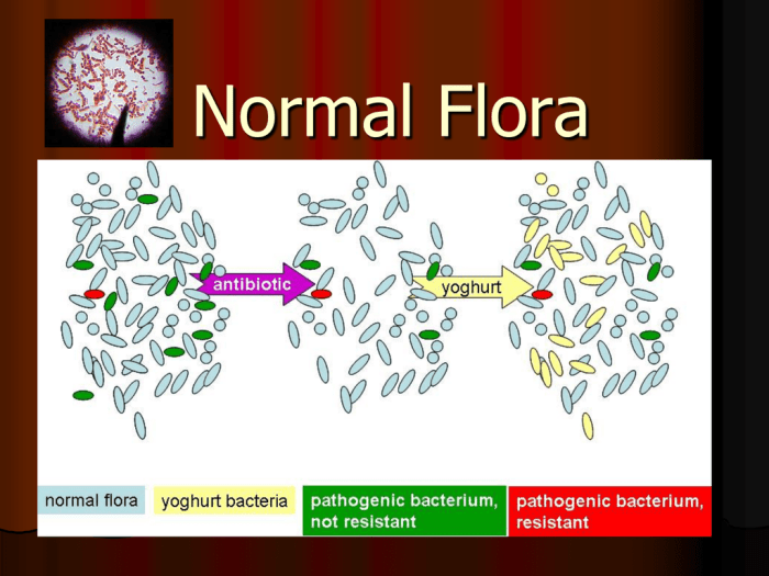 The best descriptive term for the resident microbiota is _______.