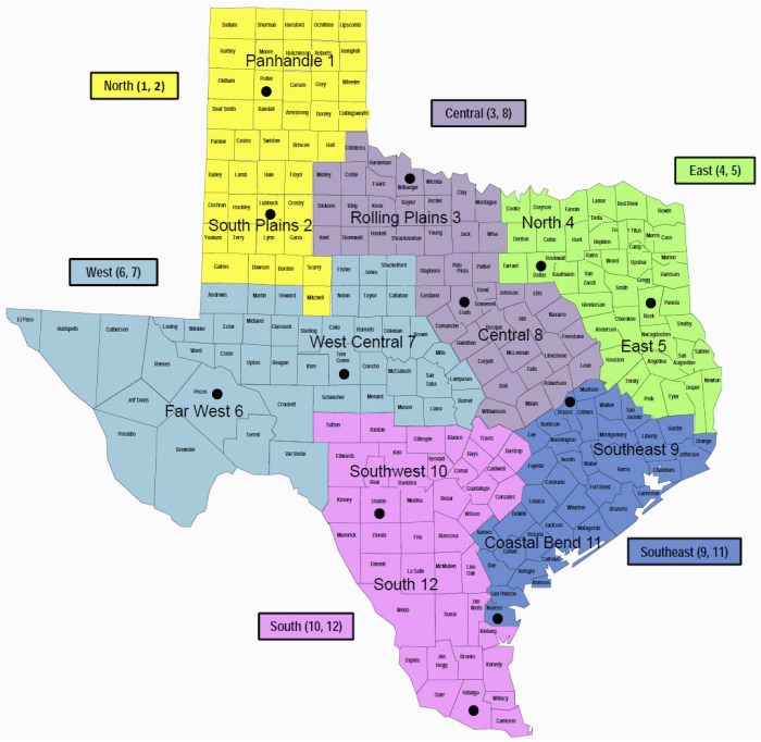 Natural resources in mountains and basins region of texas